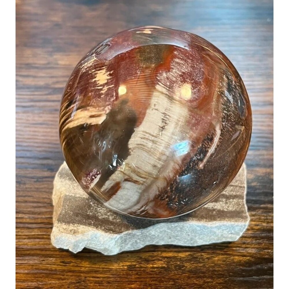 Petrified Wood Full Sphere 2.2 lb Polished Natural Stone Madagascar